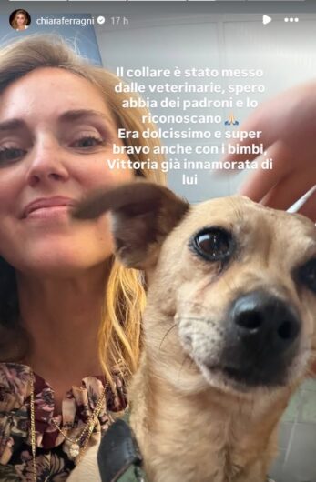 Cagnolino smarrito a Casteggio, Chiara Ferragni mobilita i social per ritrovare i proprietari