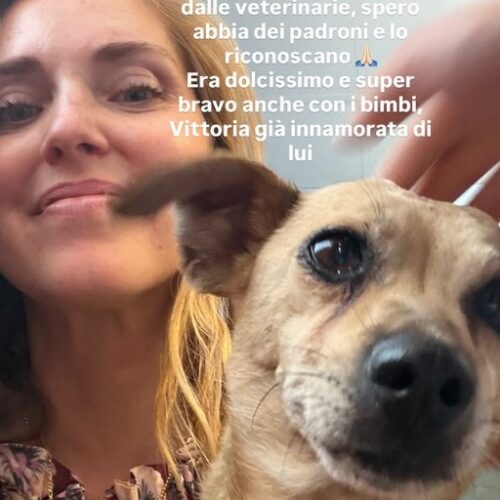Cagnolino smarrito a Casteggio, Chiara Ferragni mobilita i social per ritrovare i proprietari