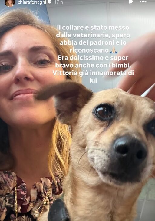 Cagnolino smarrito a Casteggio, Chiara Ferragni mobilita i social per ritrovare i proprietari