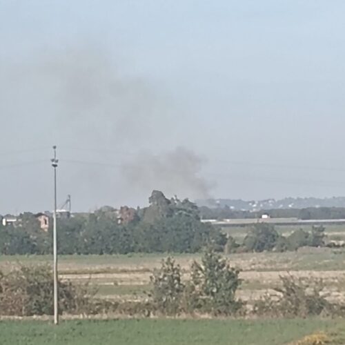 Incendio sterpaglie a Bosco Marengo: l’intervento dei Vigili del Fuoco