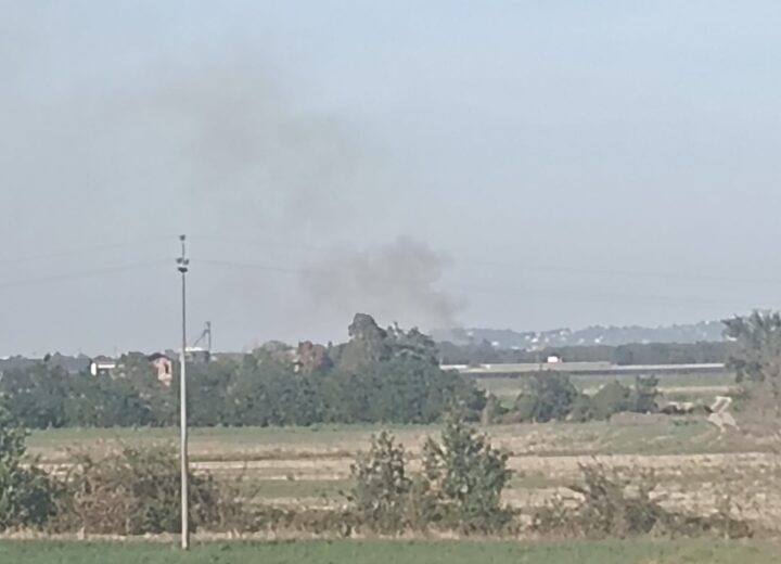 Incendio sterpaglie a Bosco Marengo: l’intervento dei Vigili del Fuoco