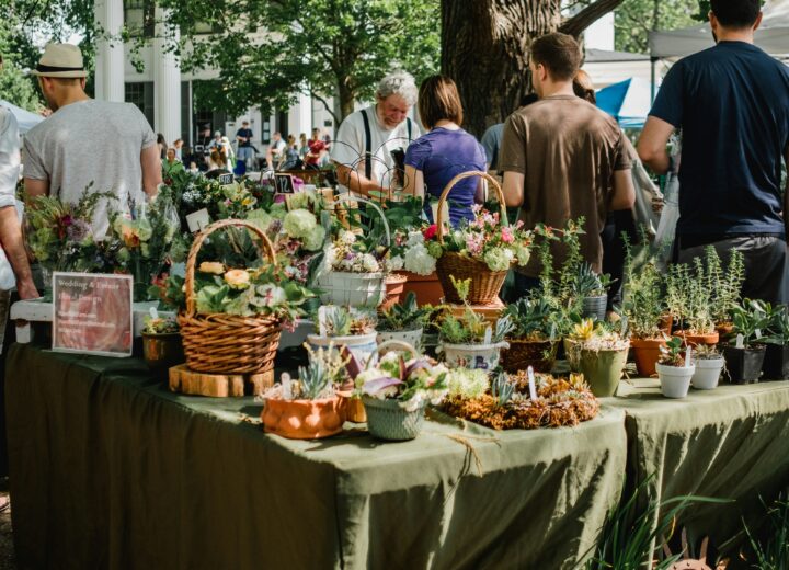 Cosa fare in provincia di Alessandria. Gli eventi di sabato 12 settembre