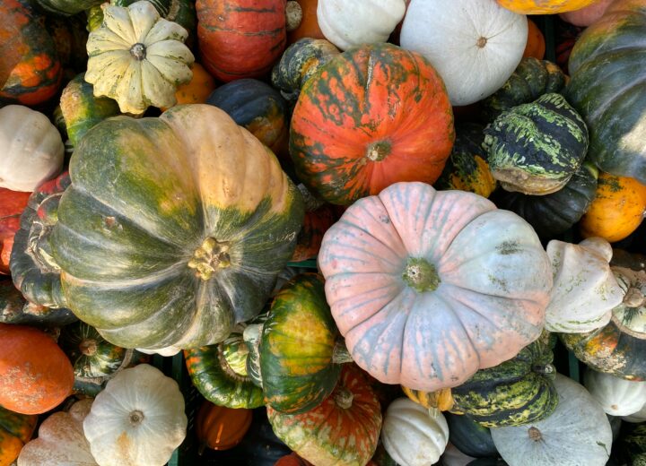 Fiere e sagre in Piemonte: gli appuntamenti del weekend tra vino, miele, zucche e sapori d’autunno