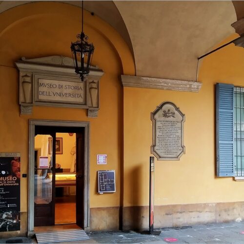Notte Bianca al Museo dell’Università di Pavia. Apertura speciale per festeggiare i 90 anni