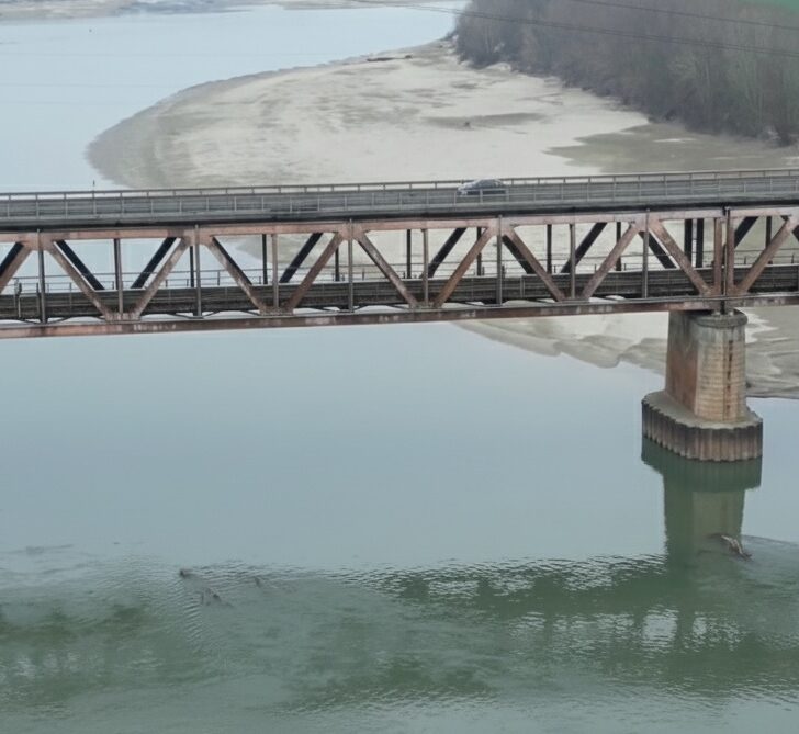 Ponte sul Po, nuove chiusure notturne tra San Martino e Bressana: stop al traffico dal 5 al 19 ottobre