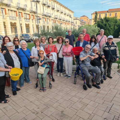 L’Uliveto Urbano di piazza Matteotti compie due anni: dalla raccolta delle olive a nuovi progetti
