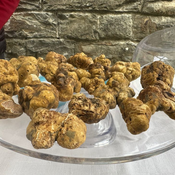 A Trisobbio il tartufo tra piatti, cercatori, mostre e fiera nazionale