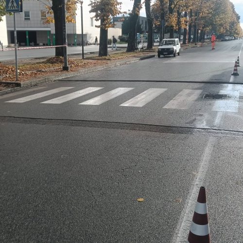 Nuovi attraversamenti pedonali rialzati ad Alessandria: al via i lavori in viale Teresa Michel