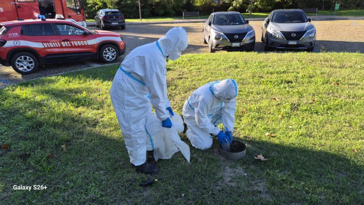 Simulato incidente al reattore nucleare dell’Università di Pavia: testati soccorsi, evacuazione e procedure di sicurezza
