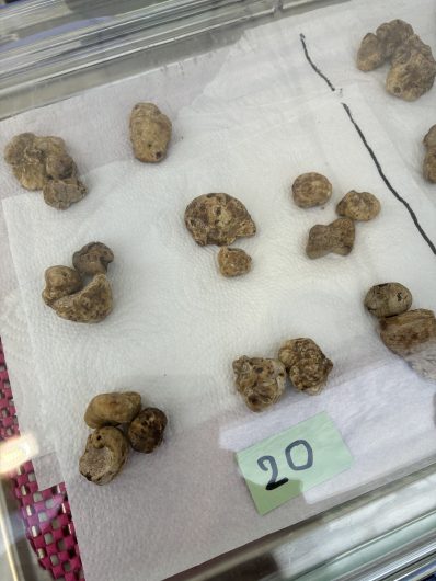 Ricaldone in festa tra vino, tartufi e sapori della tradizione