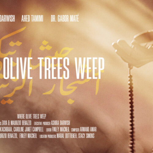 Questa sera, lunedì 5 ottobre, il documentario “Where Olive Trees Weep”