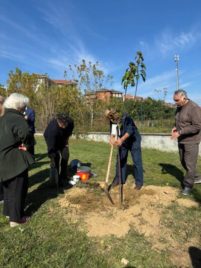 Progetto “Alberiamo Alessandria”: messi a dimora un ginkgo biloba e tre ciliegi