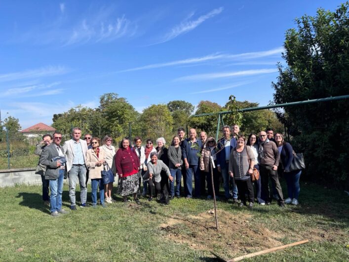 Progetto “Alberiamo Alessandria”: messi a dimora un ginkgo biloba e tre ciliegi