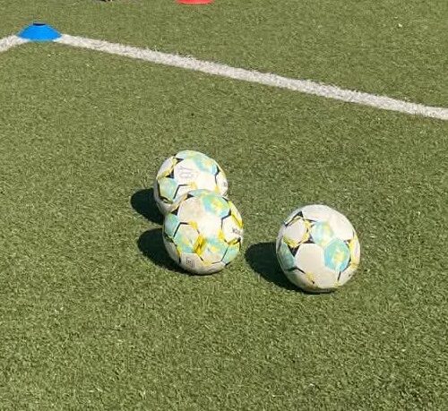 Lo sport contro la violenza sulle donne: ad Alessandria il progetto dell’Acf, Ideale Grigio e me.dea