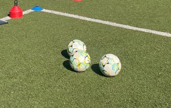 Lo sport contro la violenza sulle donne: ad Alessandria il progetto dell’Acf, Ideale Grigio e me.dea