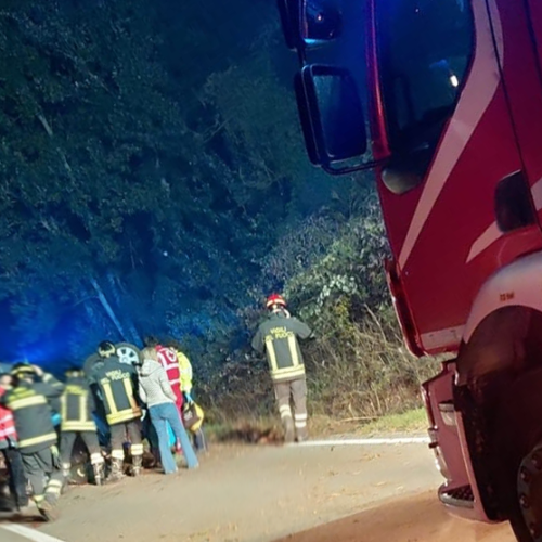 Incidente a Cassano: auto ribaltata per cinghiali in strada