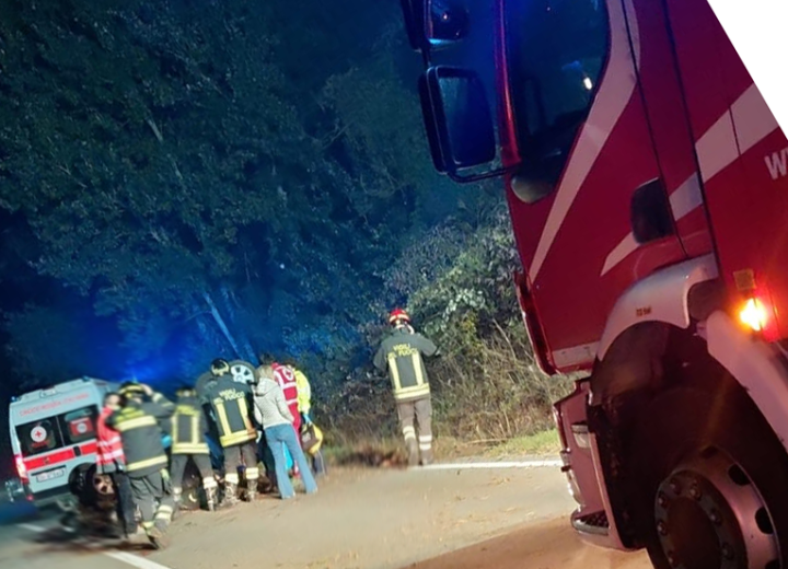 Incidente a Cassano: auto ribaltata per cinghiali in strada