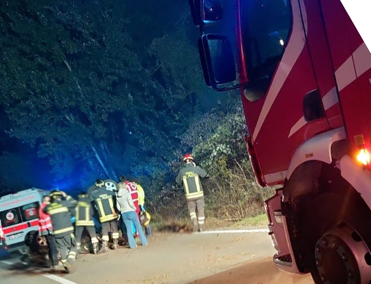 Incidente a Cassano: auto ribaltata per cinghiali in strada