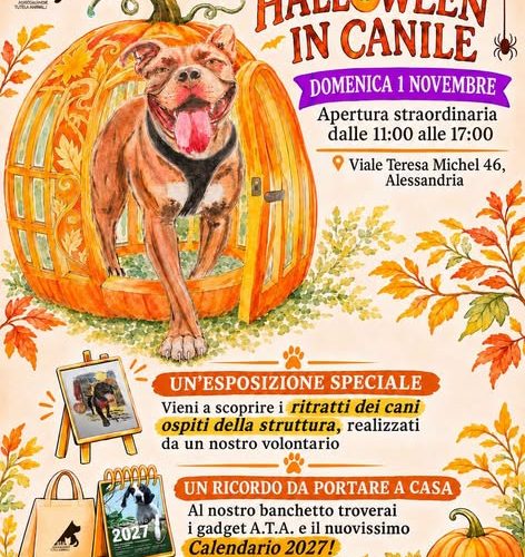 Al canile di Alessandria una giornata tra arte e amici a quattro zampe in cerca di casa