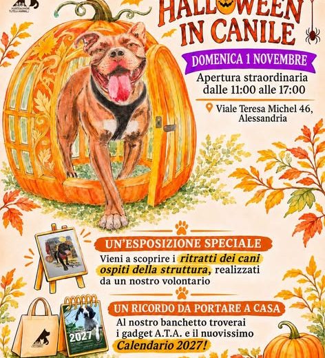 Al canile di Alessandria una giornata tra arte e amici a quattro zampe in cerca di casa