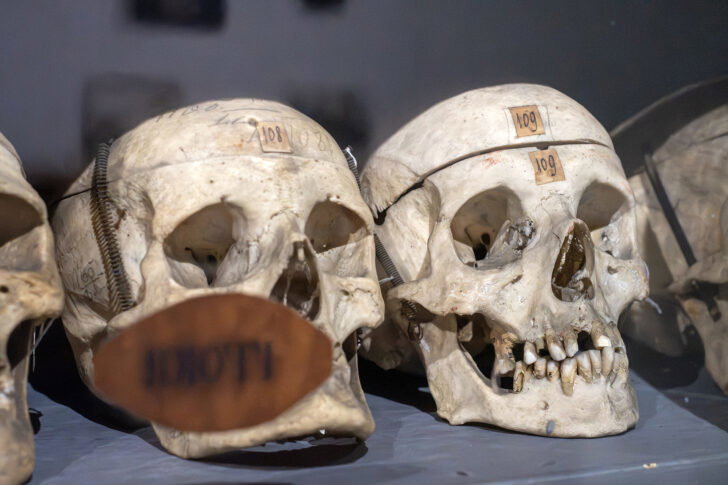 Museo Lombroso, apertura straordinaria sold out: grande interesse per la storia dell’ex manicomio di Alessandria