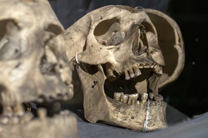 Museo Lombroso, apertura straordinaria sold out: grande interesse per la storia dell’ex manicomio di Alessandria