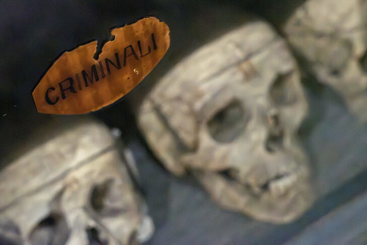 Museo Lombroso, apertura straordinaria sold out: grande interesse per la storia dell’ex manicomio di Alessandria