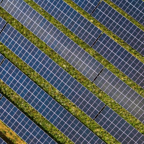 Consumo di suolo, Pozzolo maglia nera: avanzano i pannelli e in un anno spariscono 54 ettari di terreno