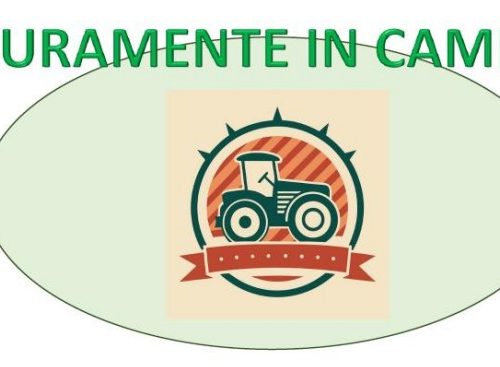 “Sicuramente in campo”: il 22 ottobre a Montegioco una giornata sulla sicurezza nel lavoro agricolo