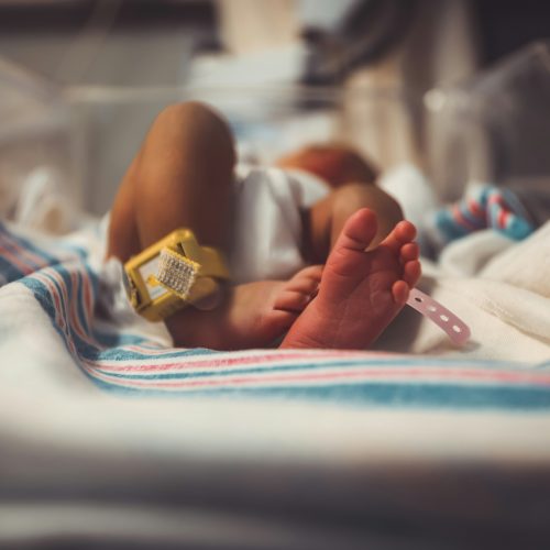Il San Matteo protagonista di un progetto europeo per innovare le cure neonatali con l’intelligenza artificiale