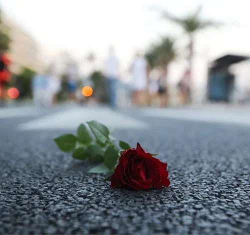 Incidenti stradali, in provincia di Alessandria aumentano le vittime: 25 morti nel 2025, sette avevano meno di 30 anni