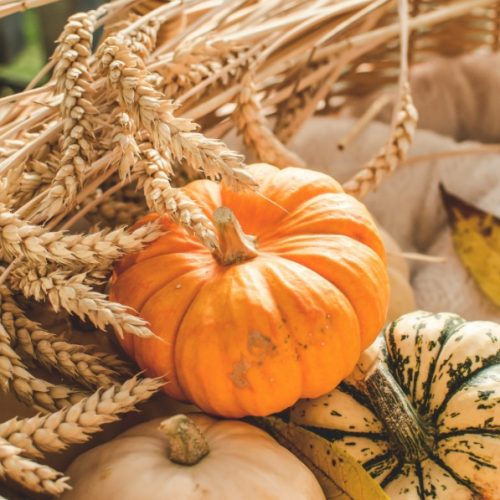Fiere e sagre in Piemonte: tartufi, mercatini arte nel weekend del 31 ottobre e 1° novembre