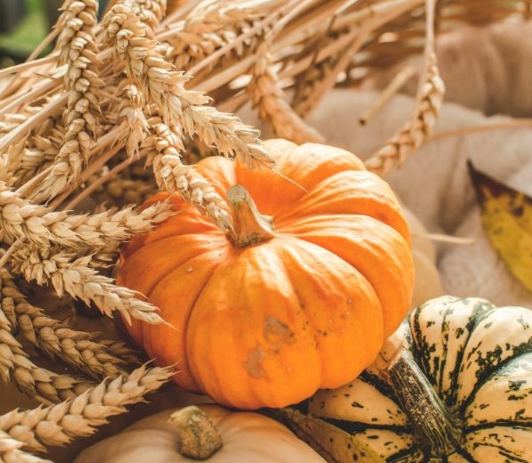 Fiere e sagre in Piemonte: tartufi, mercatini arte nel weekend del 31 ottobre e 1° novembre